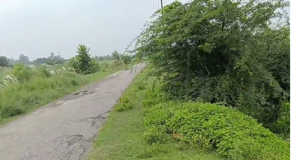 Maharajganj, Raebareli, Uttar Pradesh 229306, India