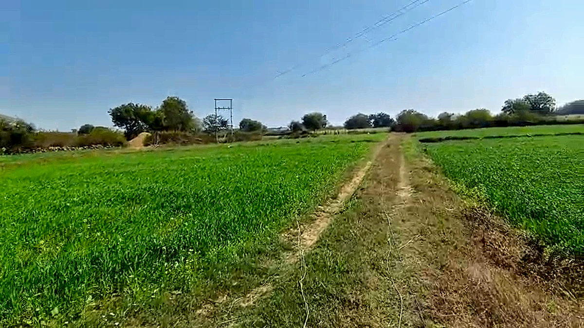 4883+V6R, Dabhaura, Madhya Pradesh 486556, India