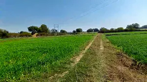 4883+V6R, Dabhaura, Madhya Pradesh 486556, India preview 3
