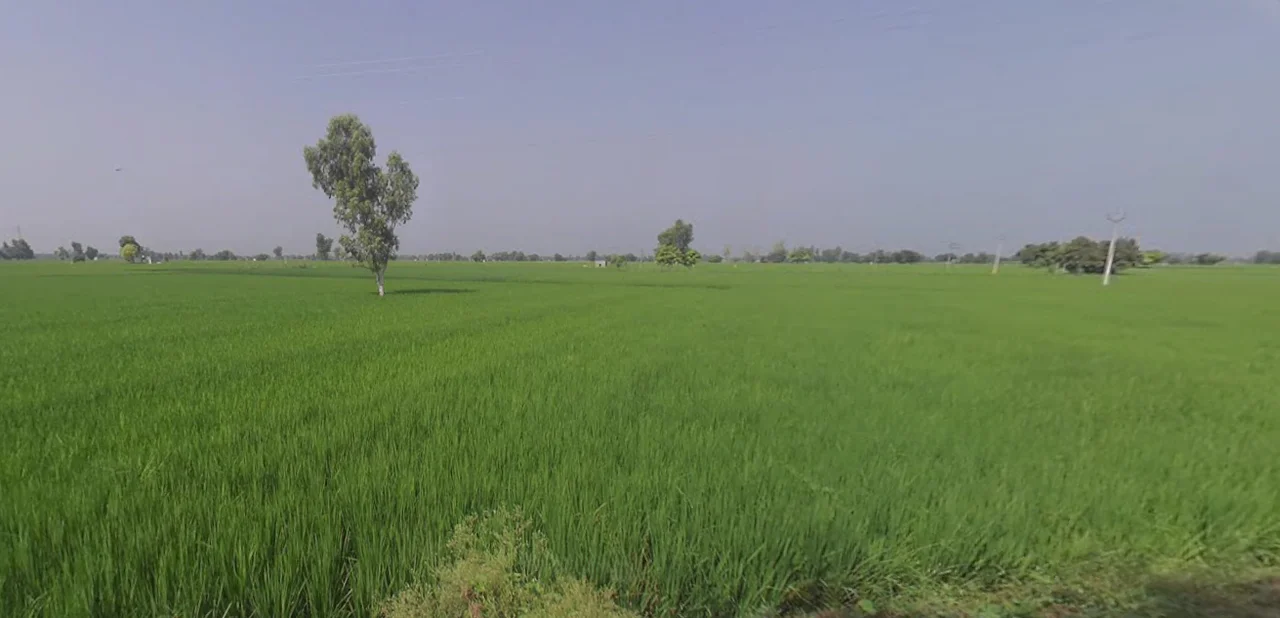 Sito Gunno, Punjab 152118, India preview 3