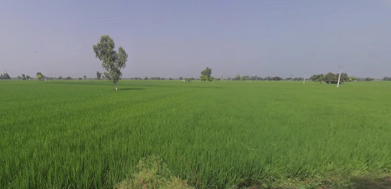 Sito Gunno, Punjab 152118, India