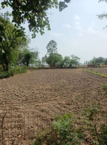 Khanna, Punjab, India