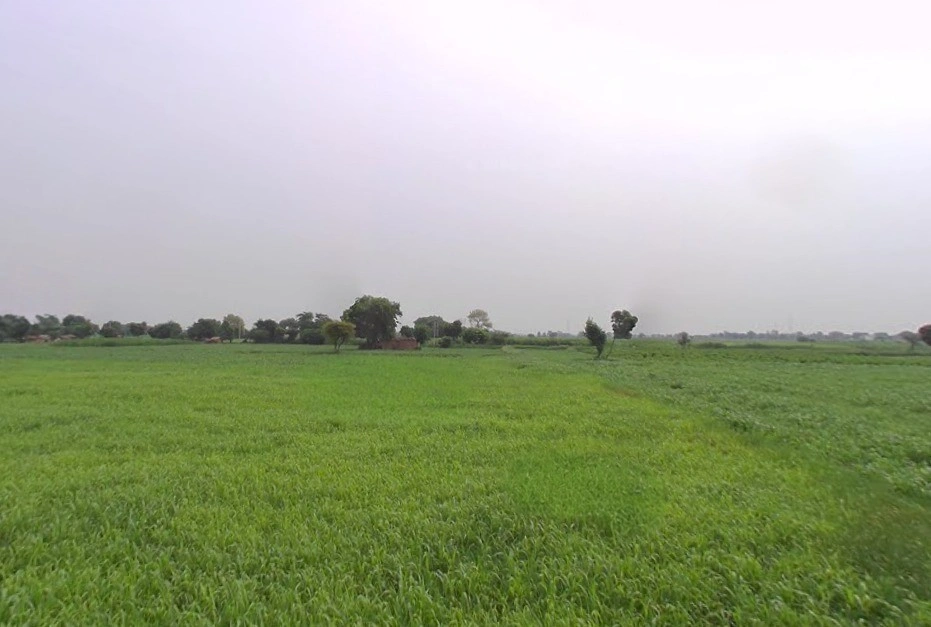 Dhilawati, Rajasthan 321022, India