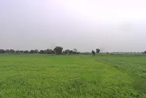 Dhilawati, Rajasthan 321022, India preview 3