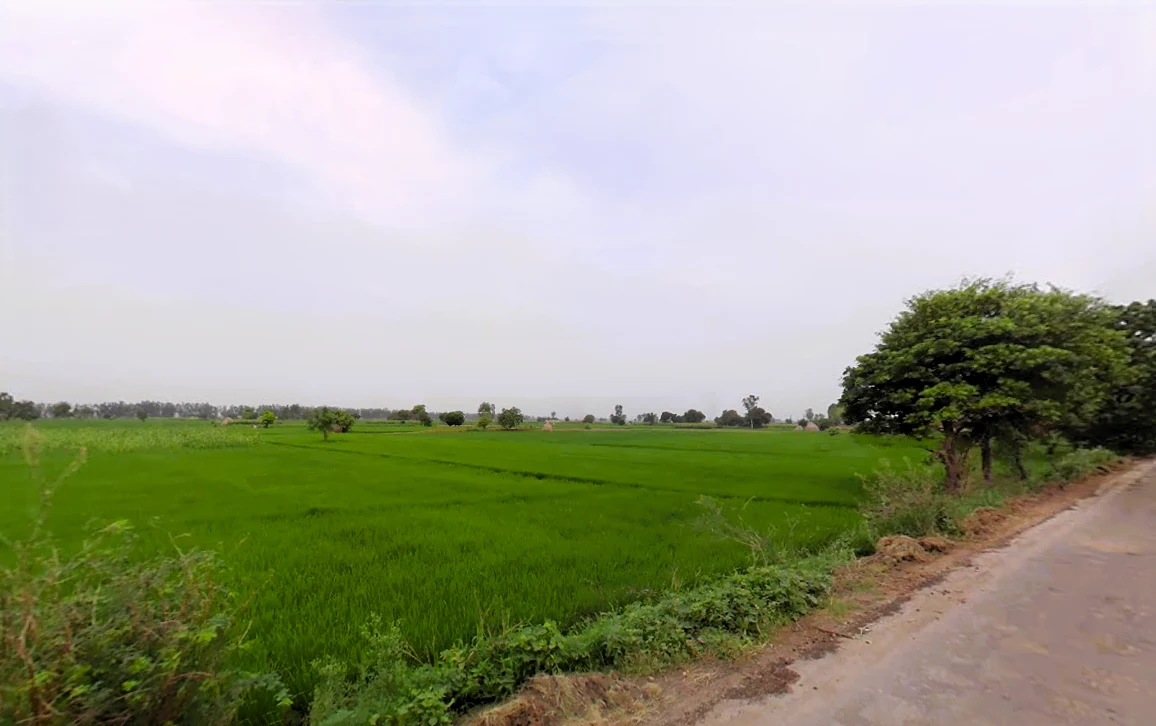 Rajound, Haryana 136044, India
