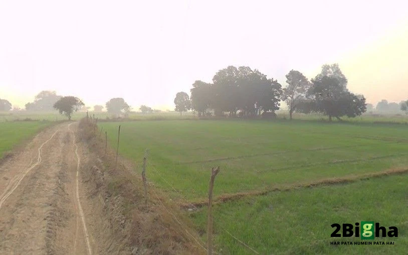 Mohanlalganj, Uttar Pradesh 226301, India