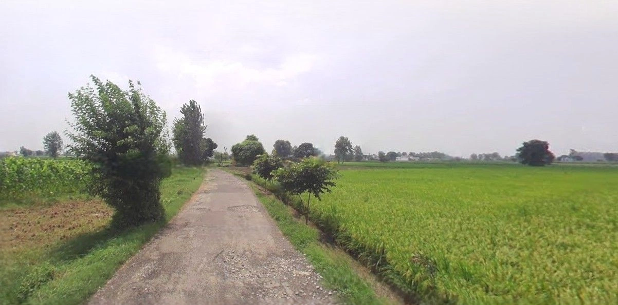 Hasanpur, Uttar Pradesh 244241, India preview 2