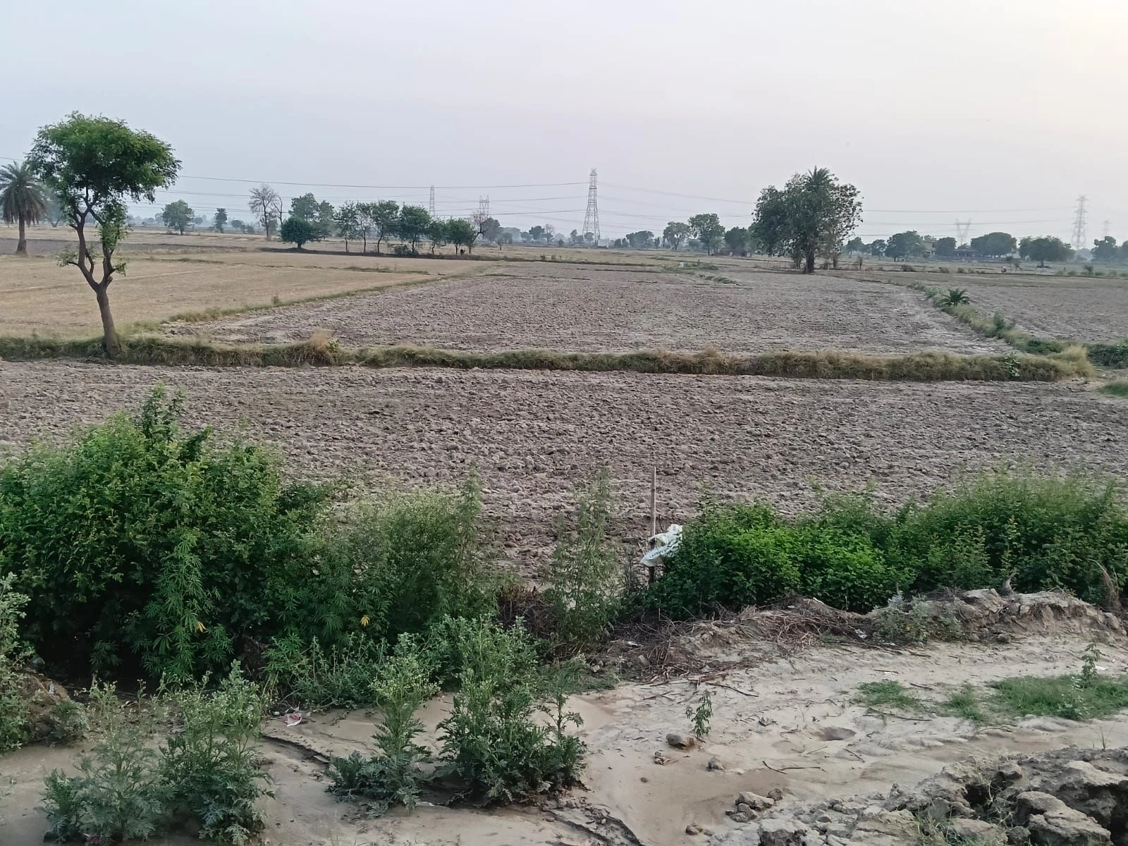 Pipli, Uttar Pradesh 202165, India