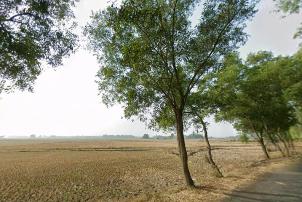 Railway Station, 345, Railway Loco Colony, Bardhaman, West Bengal 713103, India