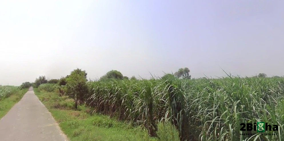 Pithlokar, Uttar Pradesh 250342, India