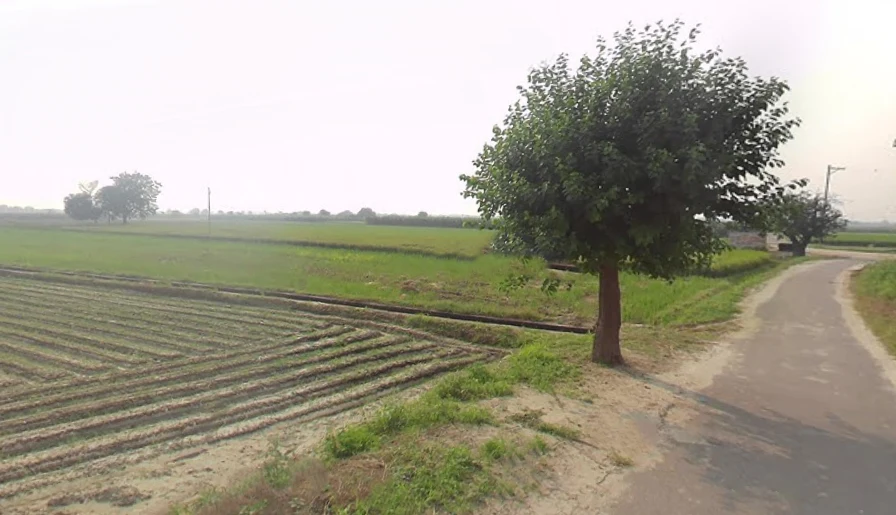 Garh Mukteshwar, Uttar Pradesh 245205, India preview 2