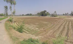 Ahmadpur, Uttar Pradesh 225202, India preview 2