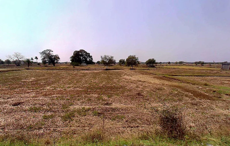 PG7P+J69, Simga - Kawardha Rd, Berla, Bemetara, Chhattisgarh 491335, India preview 2