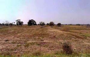 PG7P+J69, Simga - Kawardha Rd, Berla, Bemetara, Chhattisgarh 491335, India preview 2