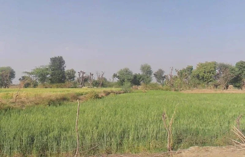 Govindgarh, Rajasthan 303712, India preview 3