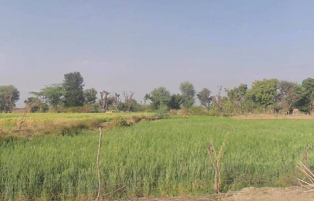 Govindgarh, Rajasthan 303712, India