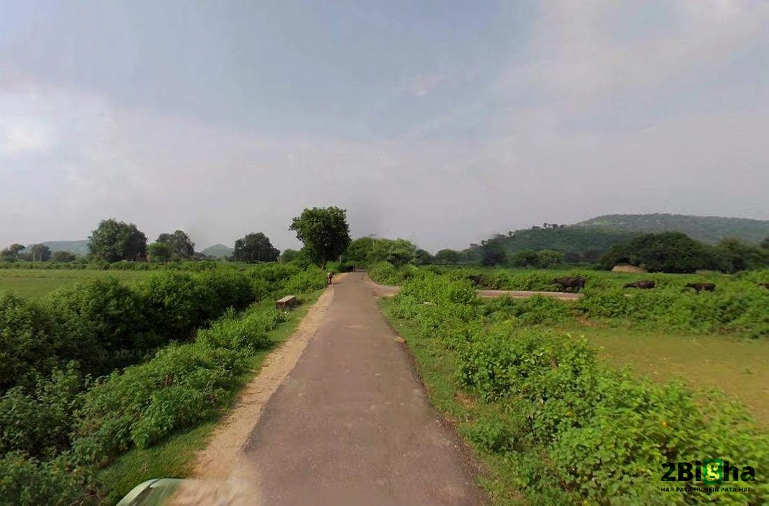 Matehana, Madhya Pradesh 485113, India