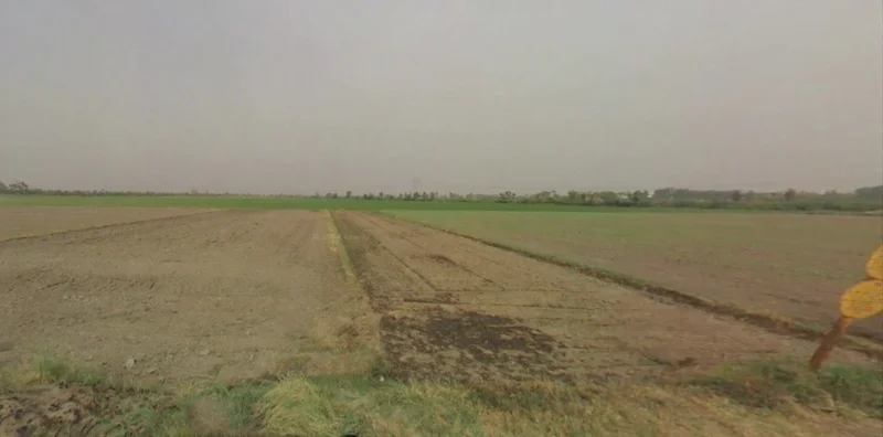 Lohsinghani, Haryana, India preview 3