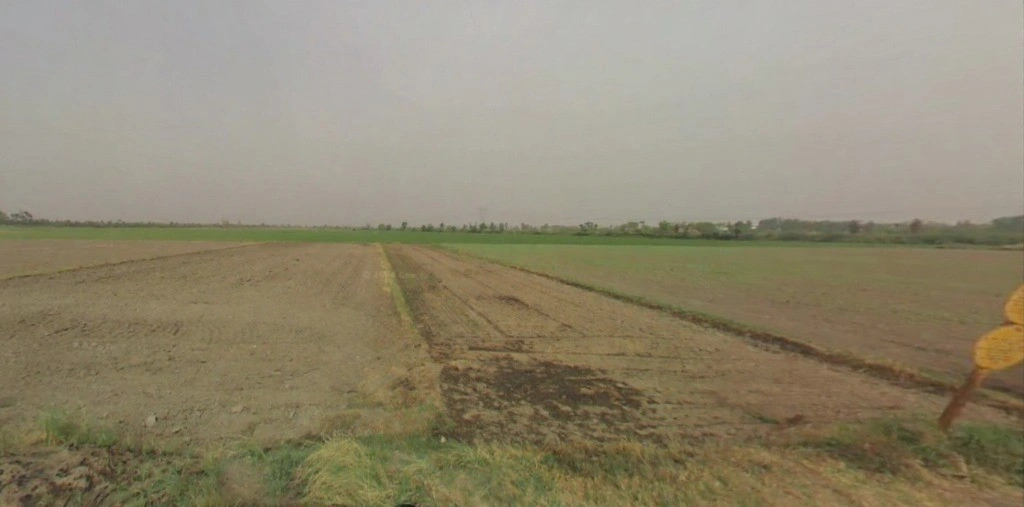 Lohsinghani, Haryana, India