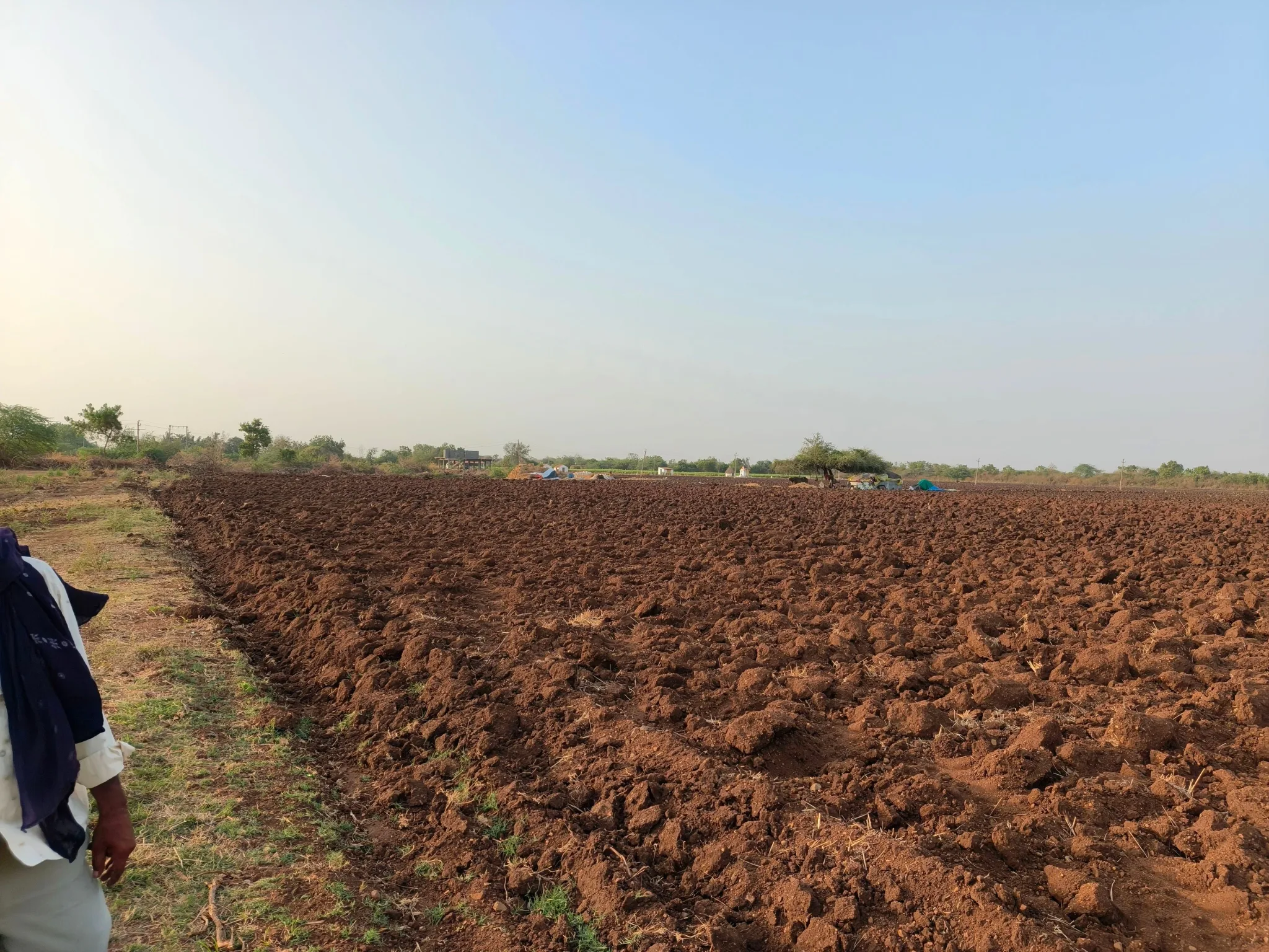 Makda, Gujarat, India