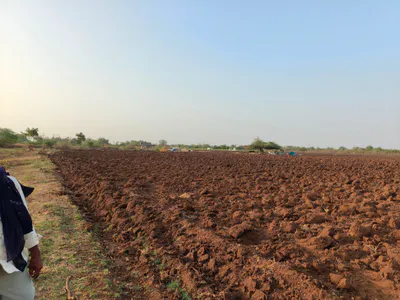 Makda, Gujarat, India preview 4