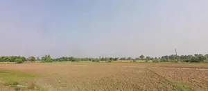 Konch, Bihar 824207, India preview 3