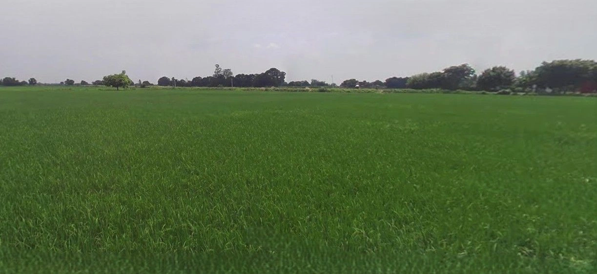 Purwa, Uttar Pradesh, India preview 2