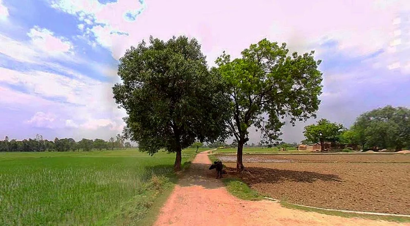 Chhata, Uttar Pradesh 281401, India preview 3