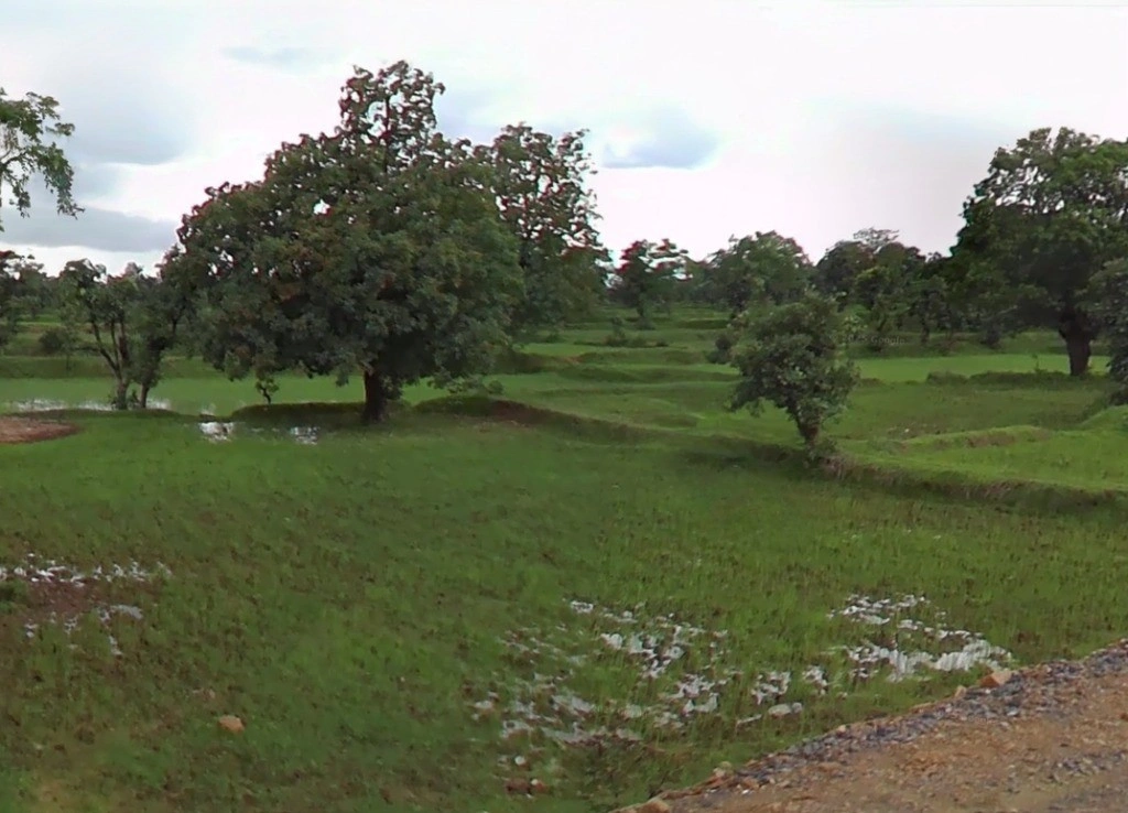 Kotani Rd, Chhattisgarh, India