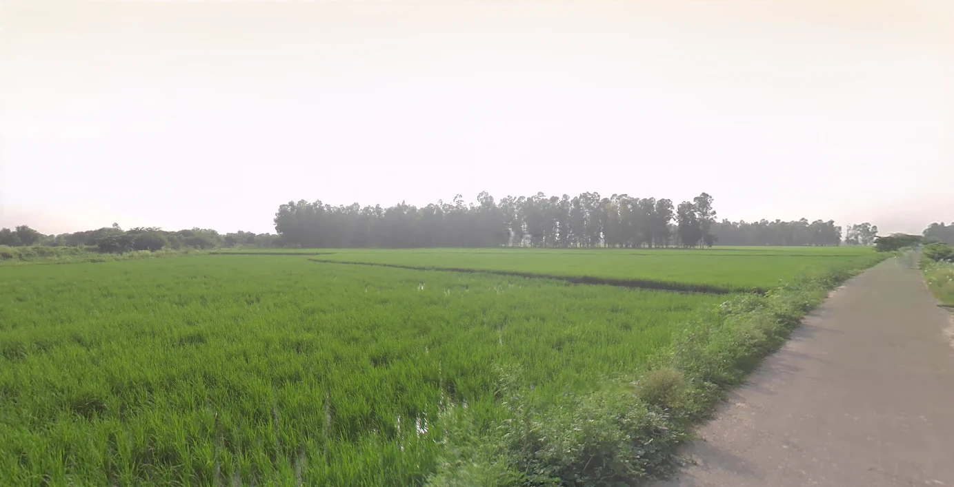 Anupshahar, Uttar Pradesh 203390, India