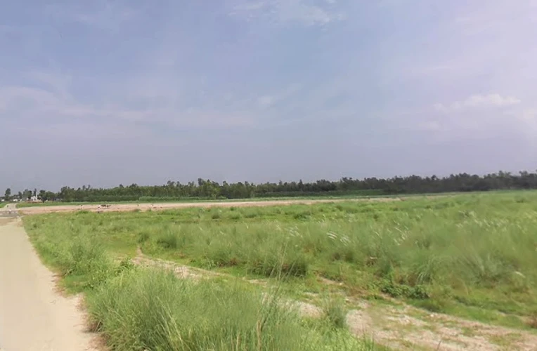 Badshahibagh, Uttar Pradesh 247122, India