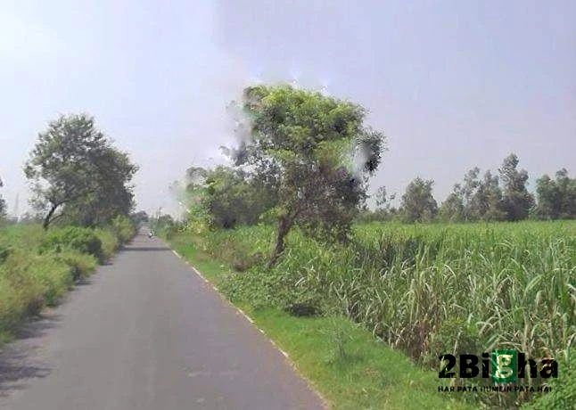 Moradabad, Tajpur Mafi, Uttar Pradesh 244104, India