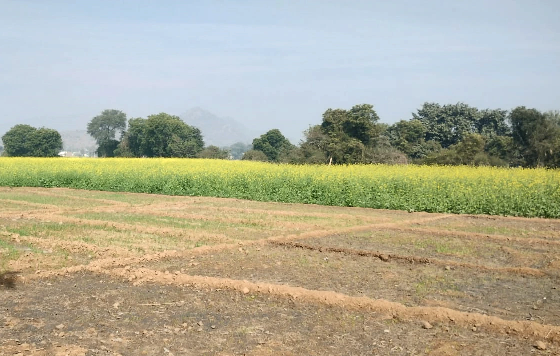 Songir, Indore, Madhya Pradesh, India