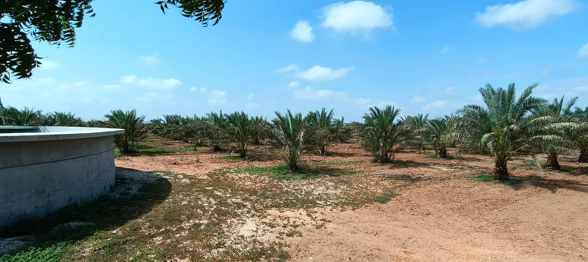 Bhadai Moti, Gujarat 370465, India