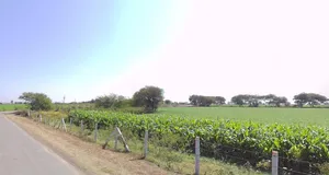 Begam Khedi, Madhya Pradesh 452016, India preview 2