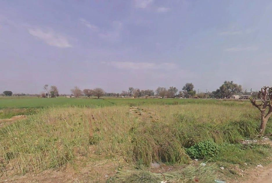 Sohanpur, Rajasthan, India