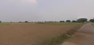 Thikri, Madhya Pradesh 451660, India preview 3