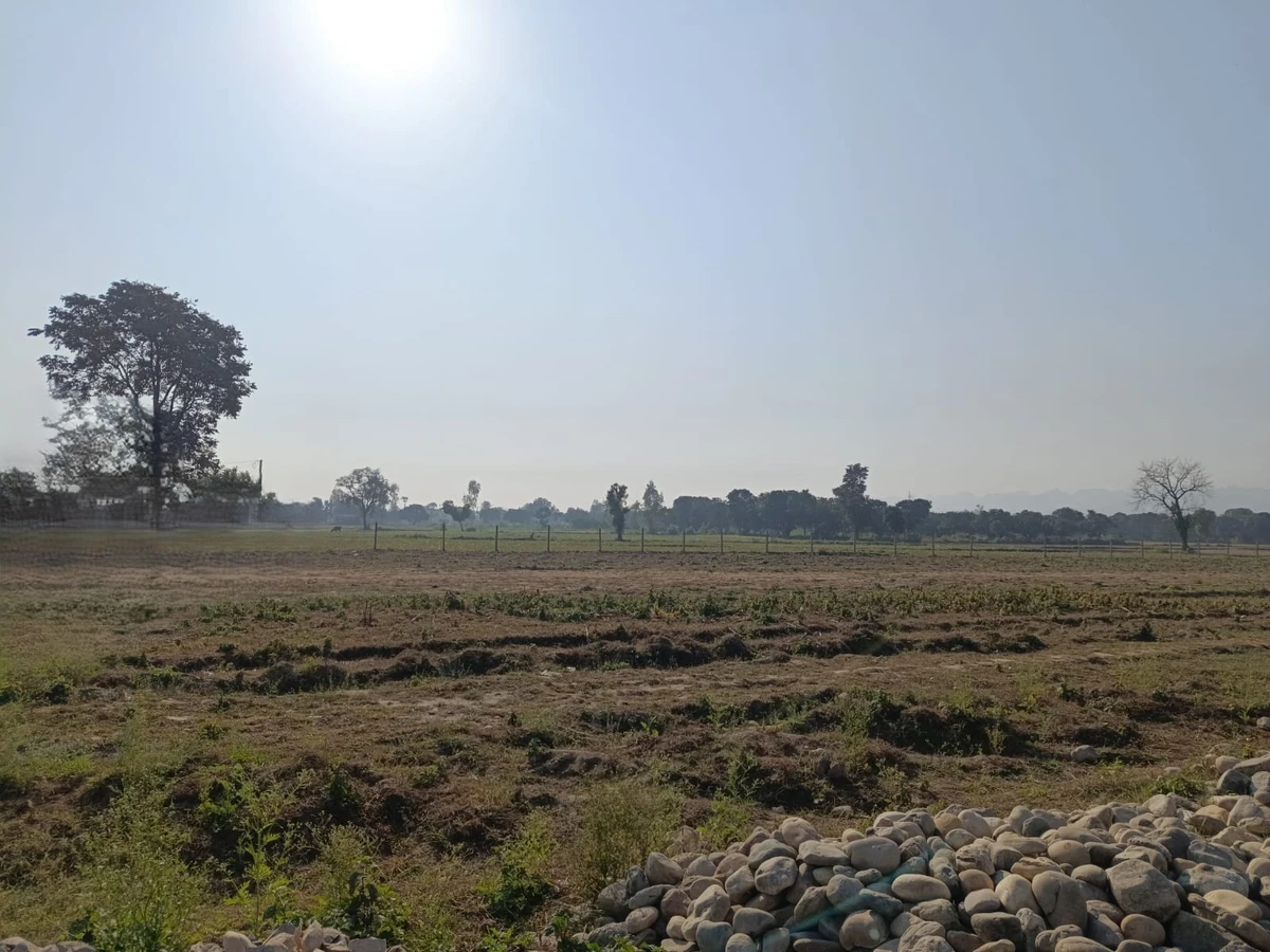 near Fire Station, Mayapur, Haridwar, Uttarakhand 249401, India