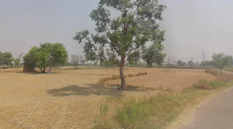 Bhaipur, Uttar Pradesh 203141, India preview 2