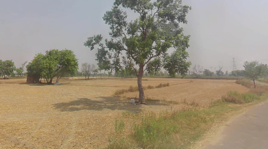 Bhaipur, Uttar Pradesh 203141, India