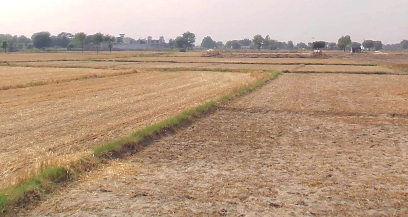 Rura, Uttar Pradesh 209303, India