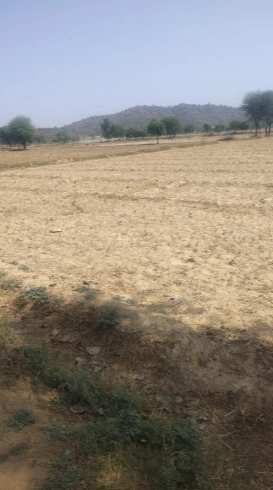 4VVJ+W5 Raipur, Dausa, Rajasthan, India preview 2