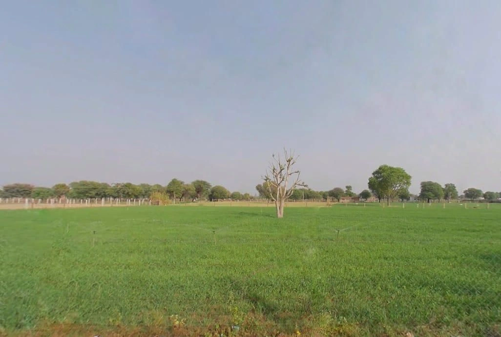 Reengus, Rajasthan, India