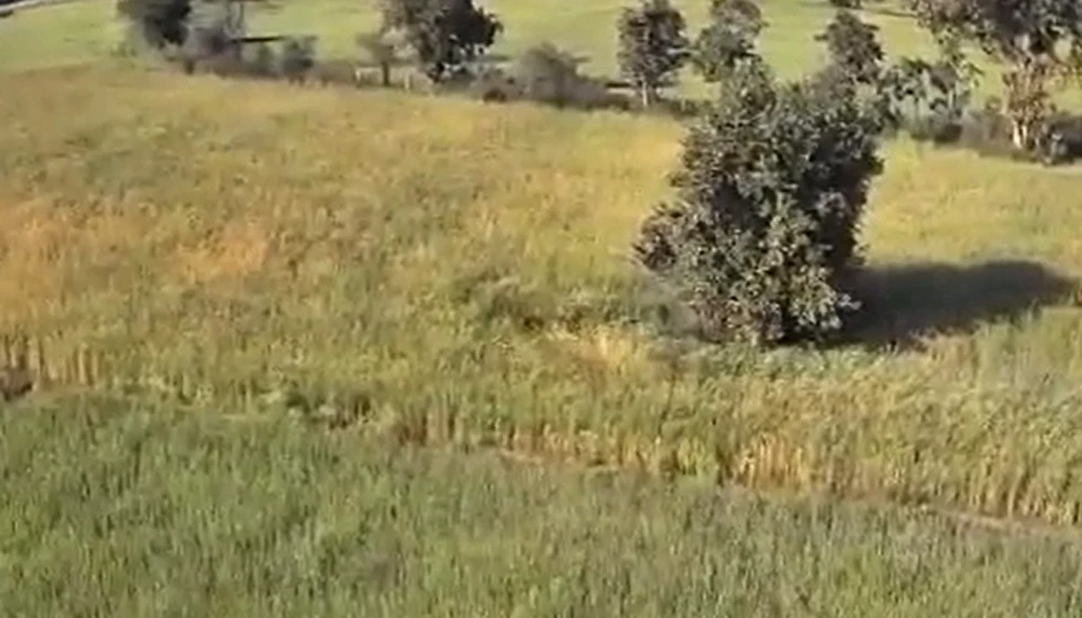Ganj Basoda, Madhya Pradesh 464221, India