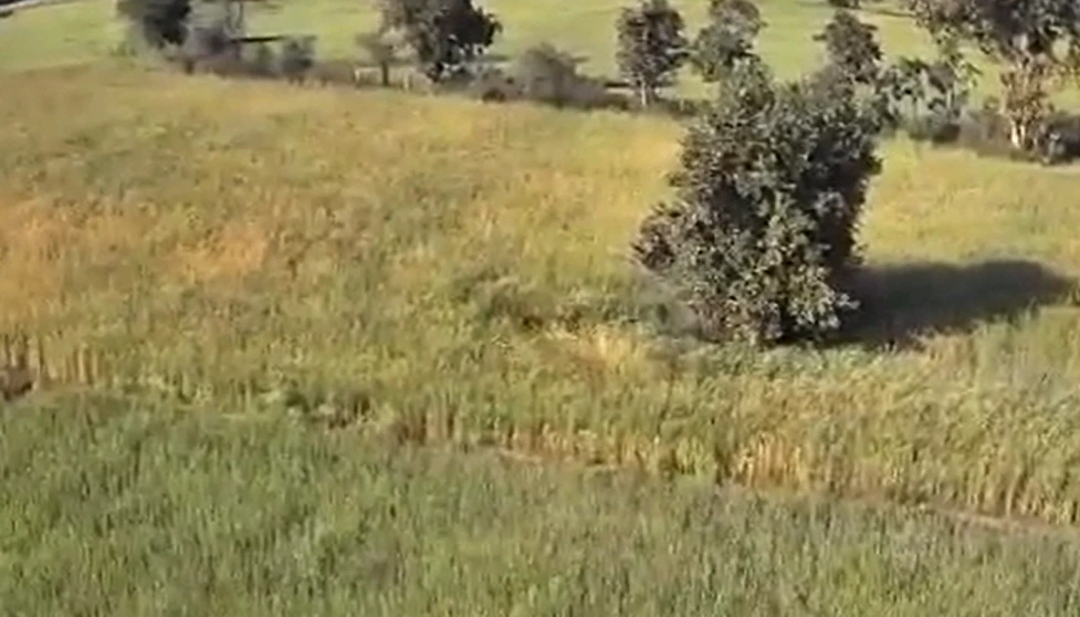 Ganj Basoda, Madhya Pradesh 464221, India