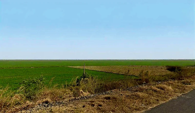 Bairagarh, Madhya Pradesh 455001, India preview 3