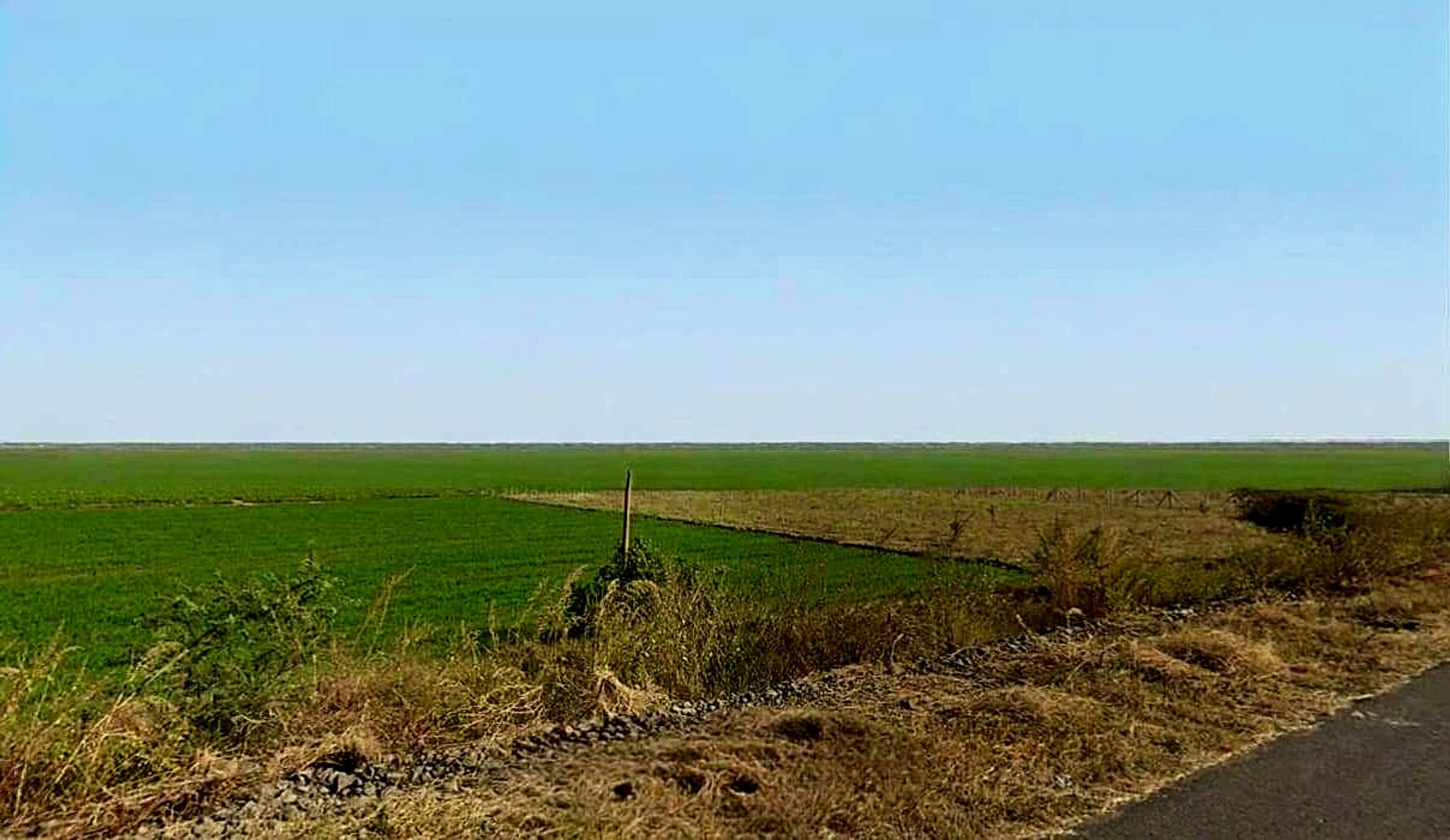 Bairagarh, Madhya Pradesh 455001, India