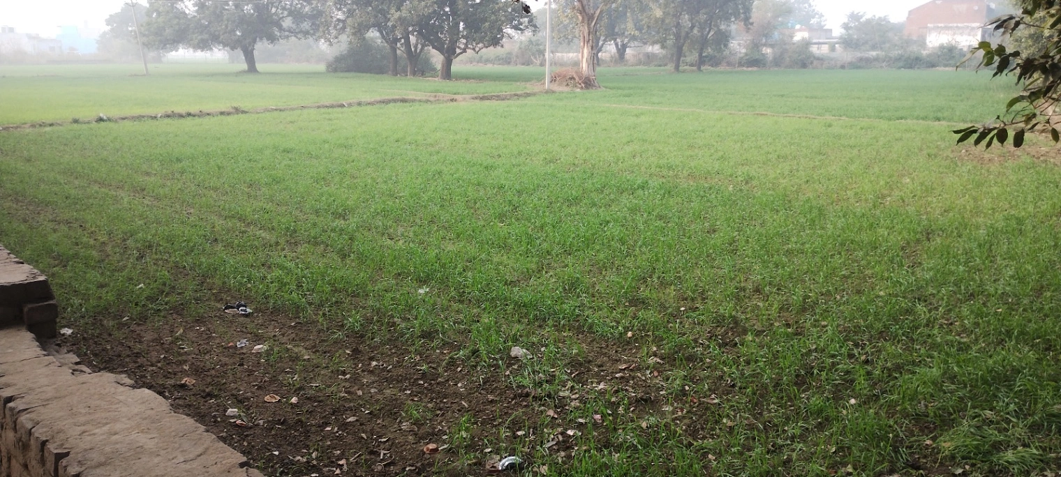 Govardhan, Uttar Pradesh, India