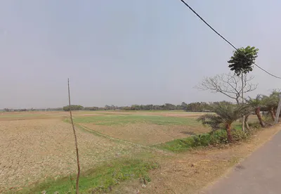 Duttapukur - Nilganj Rd, Kashim Pur, Duttapukur, Gangapur, Shibalaya, West Bengal 743248, India preview 3