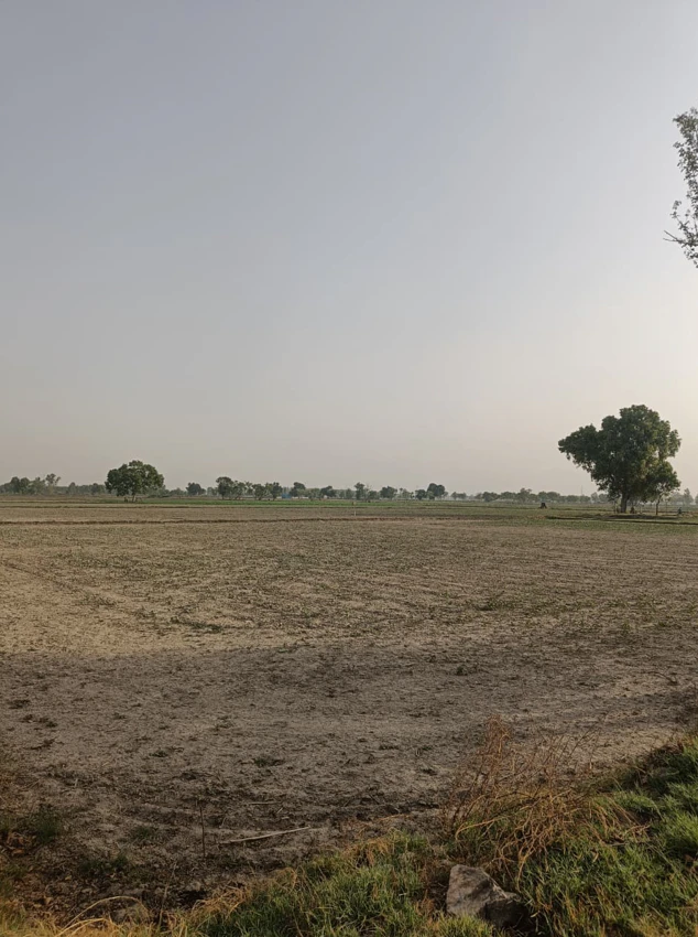 Kanadiya, Madhya Pradesh 452016, India